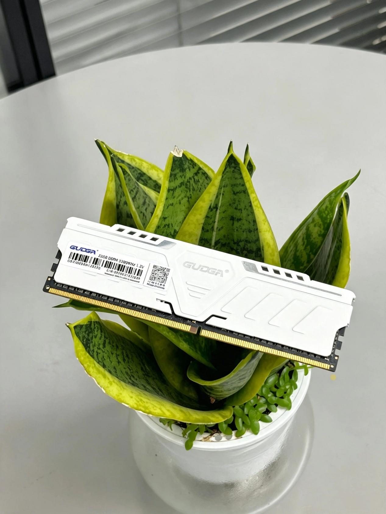 GUDGA স্যামসাং/SK Hynix/Micron অরিজিনাল চিপস সহ বিল্ট কুলিং ভেস্ট সহ নতুন DDR4 RAM মেমরি উন্মোচন করেছে