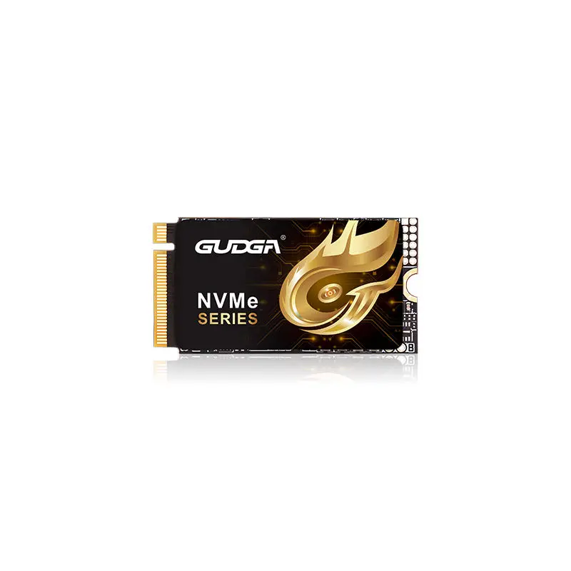 2242 দৈর্ঘ্য PCIE 4.0 NVMe SSD 7000MB/s