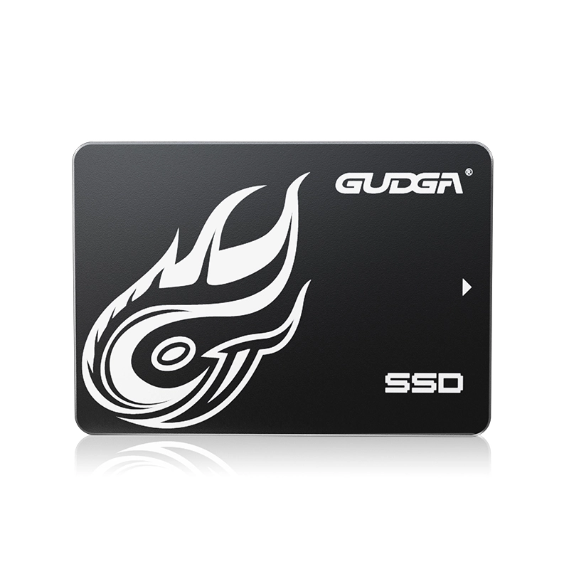 উচ্চ গতির SATA SSD